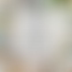 March Holidays & Sales