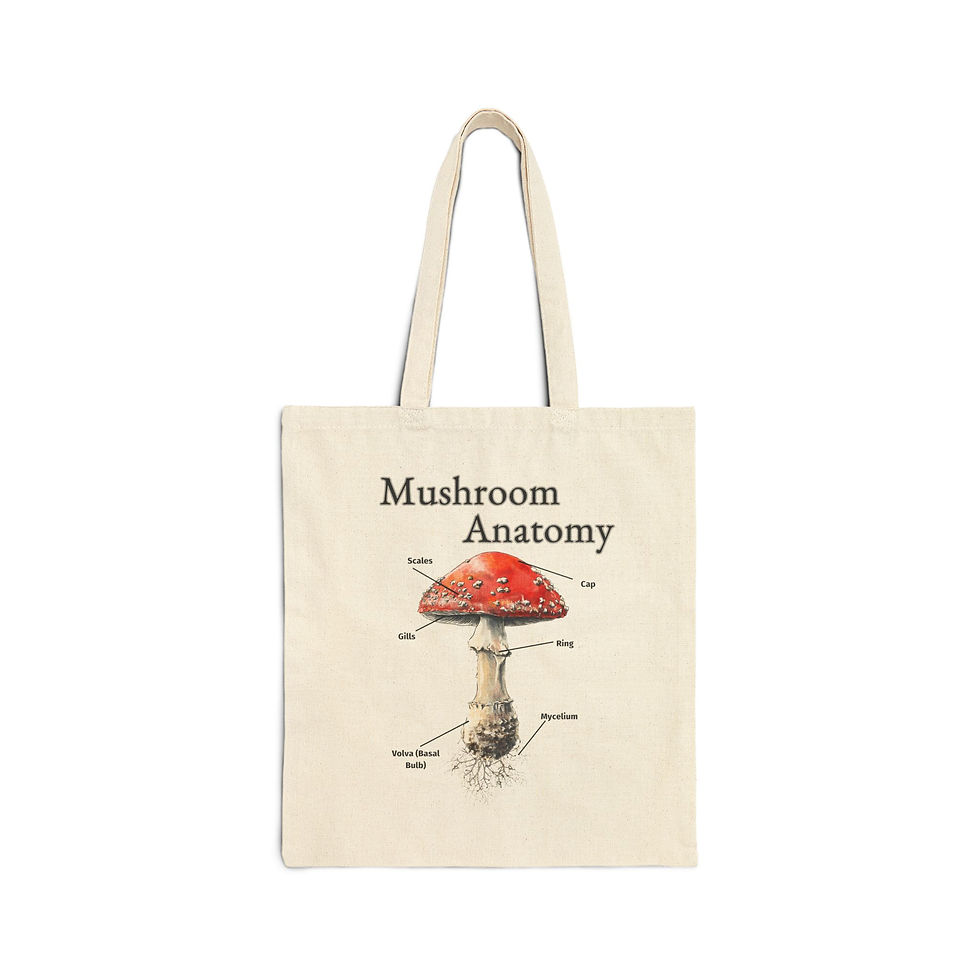 Mushroom Anatomy Cotton Canvas Tote Bag