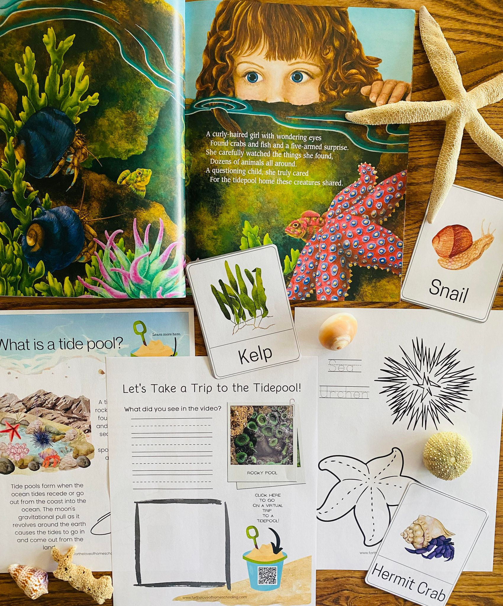 In One Tidepool Book Unit