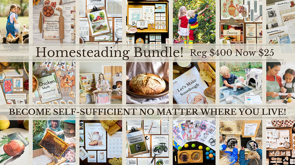 Homesteading Bundle
