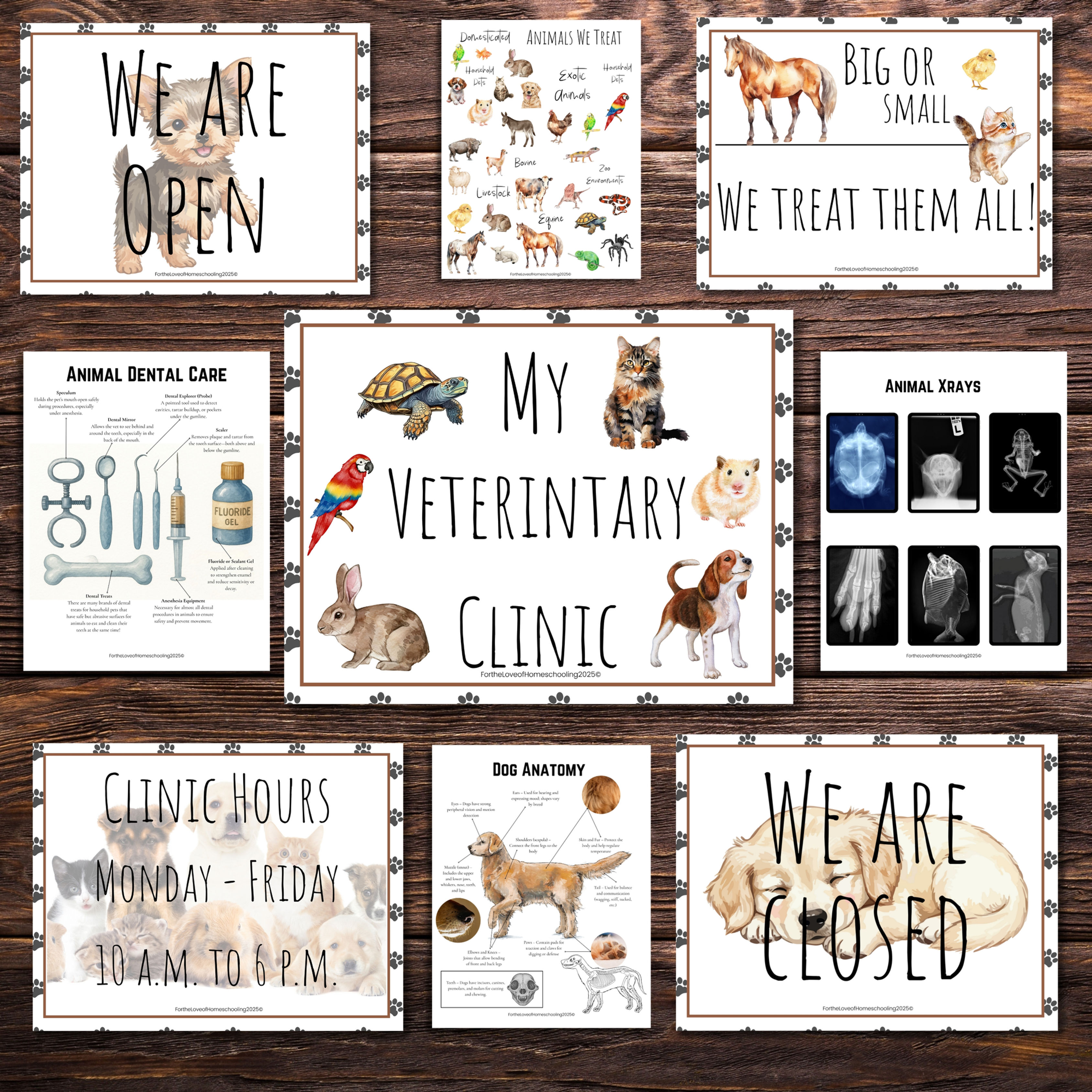 Veterinary Clinic Pretend Play Kit