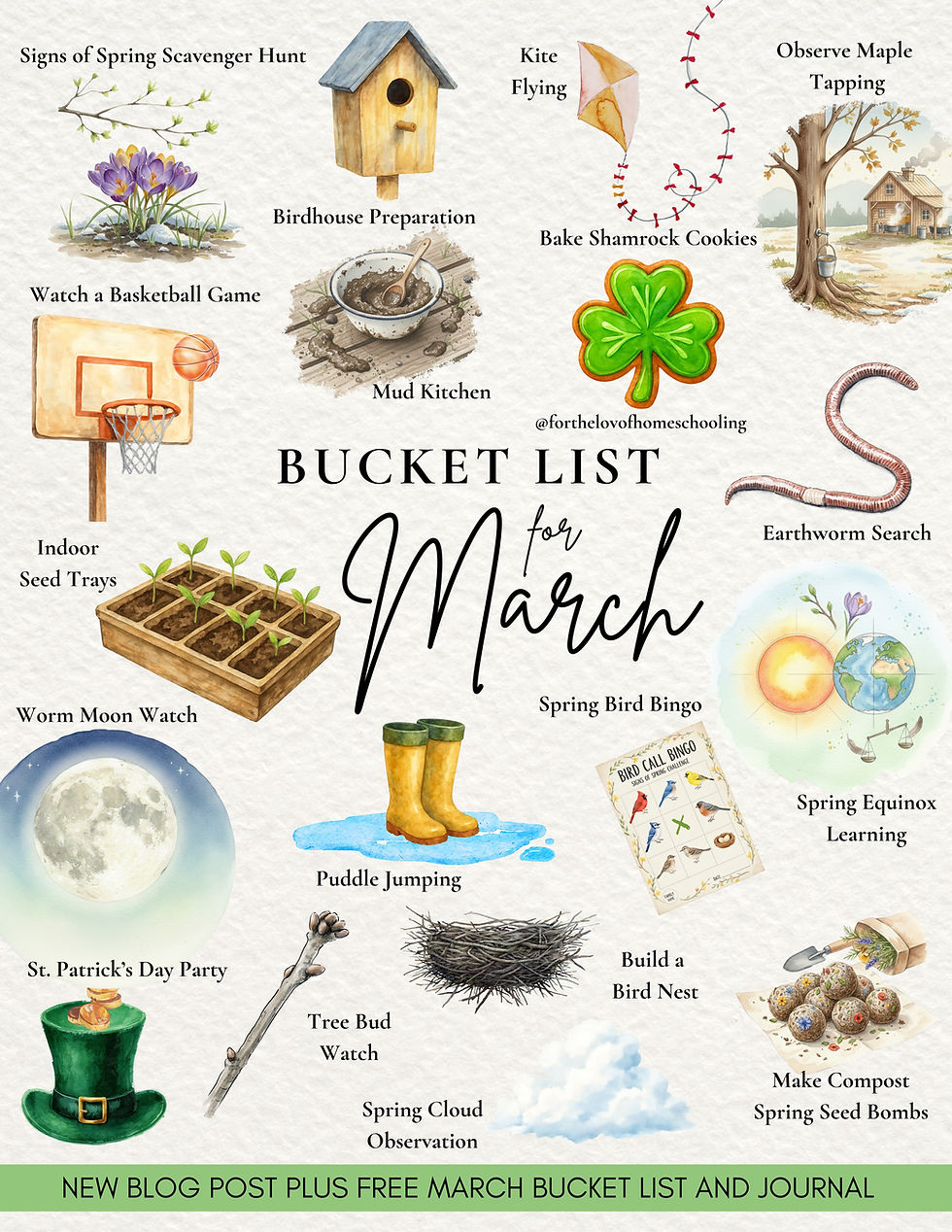 February Bucket List and Journal