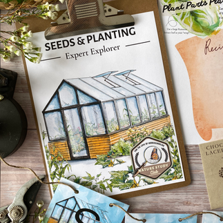 Seed & Planting Nature study