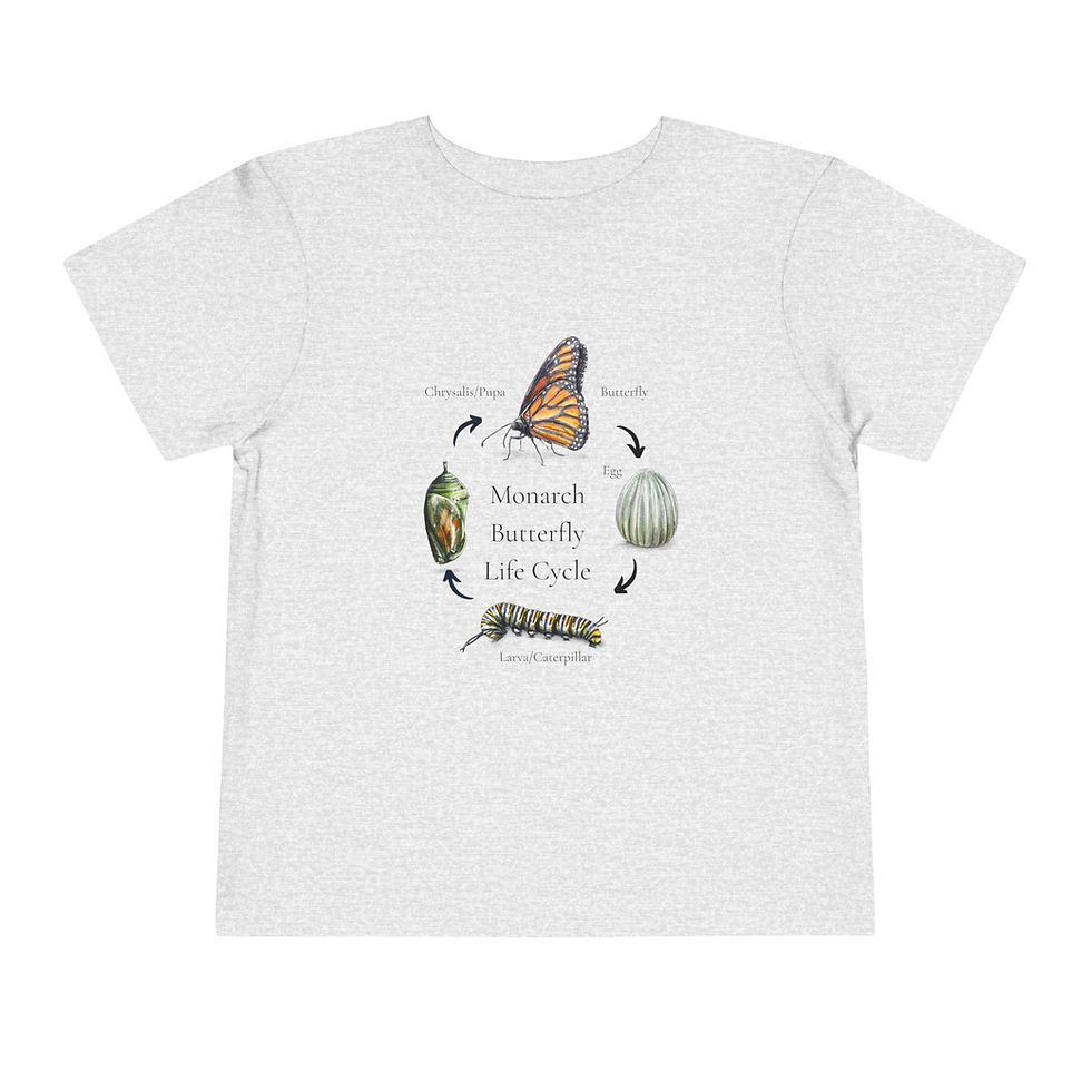 Thumbnail: Monarch Lifecycle Toddler Short Sleeve Tee 2T - 5T
