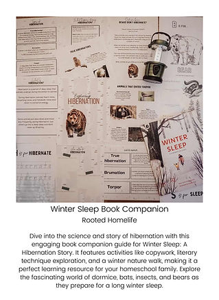 Rooted Homelife Winter Sleep Book Companion.jpg