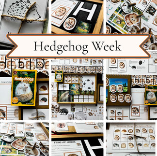 Hedgehog Week