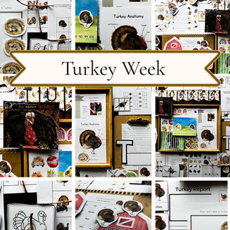 Turkey Unit