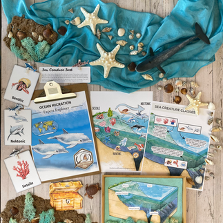 Ocean Migration Unit