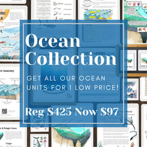 🌊 The Ultimate Guide to Ocean Homeschool Units: Marine Biology, Nature Studies & Early Learning 🐠