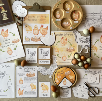 Chicken Life Cycle Nature Study