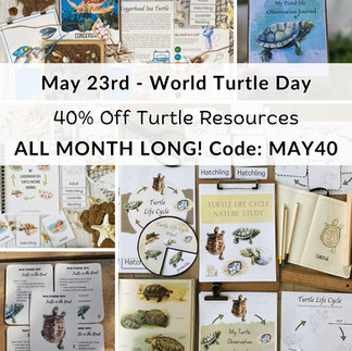 Turtle Deals