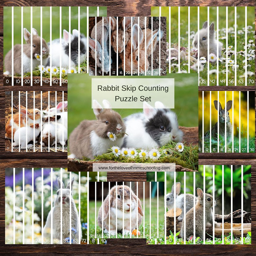 Rabbit Skip Counting Puzzle | FTL of Homeschooling