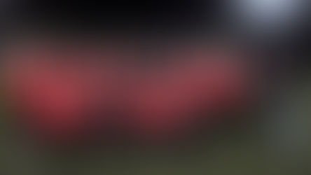 ACADEMY: SEASON REVIEW