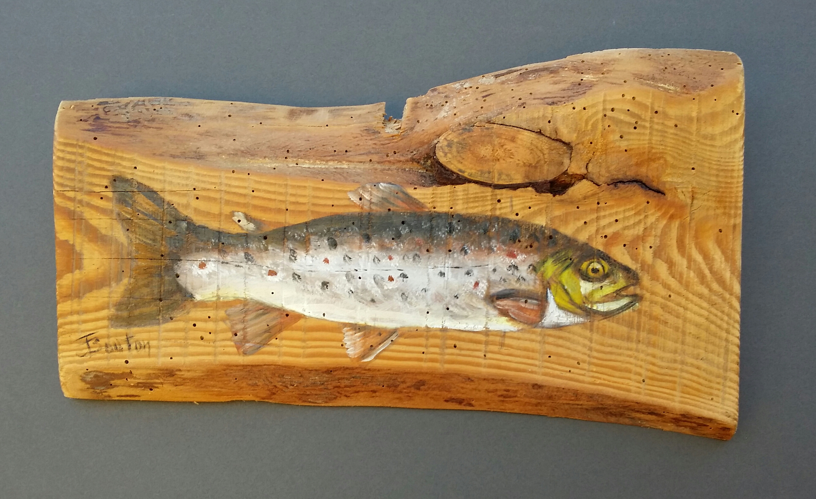 la truite - Huile sur bois