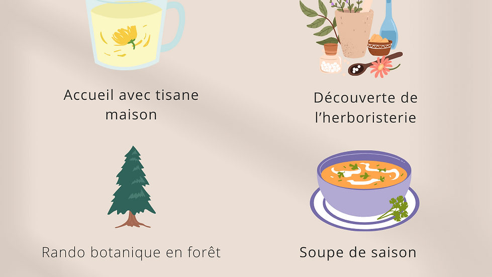 Rejoignez-nous pour une journée immersive en pleine nature