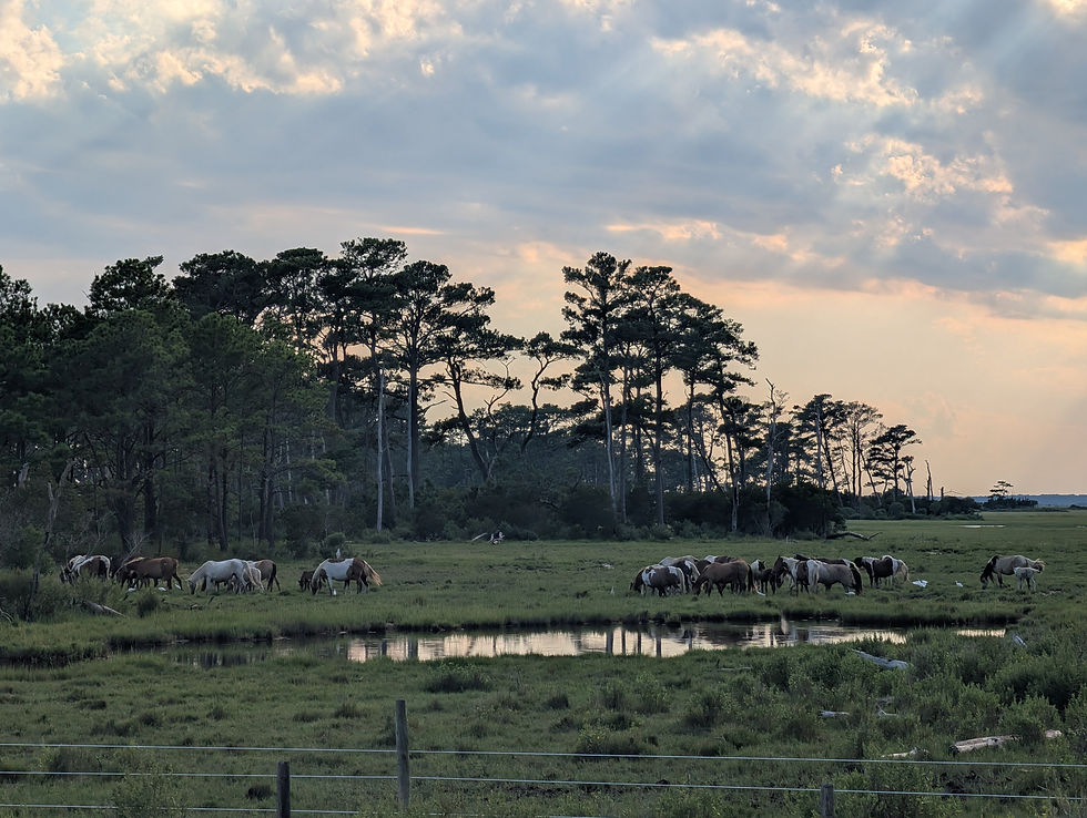 SAVE THE DATE- April Retreat on Chincoteague Island, VA