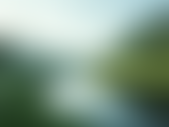 The Power of Response-Ability: Choosing Empowerment in a Complex World