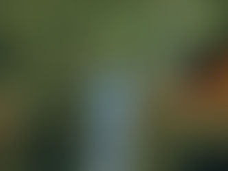 Starship Troopers: Ultimate Bug War! lässt euch erstmals als Bug kämpfen