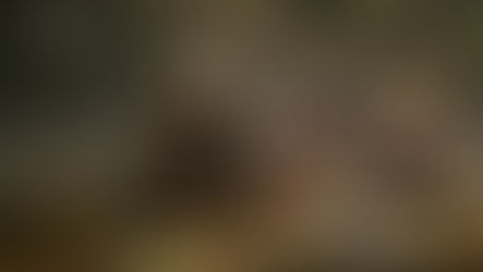 The(G)net Review: Hood: Outlaws & Legends