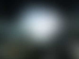 The(G)net Review: Syndicate