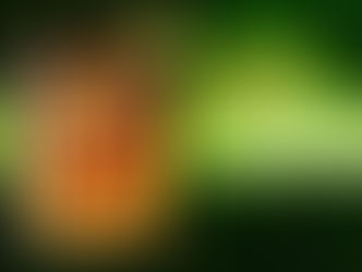 The(G)net Review: Amped 2