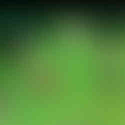 Radiant Historia Test, Review, Testbericht für Nintendo DS.