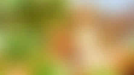 Pumuckl und die Krone des Piratenkönigs Infos zum Spiel, Trailer und Screenshots