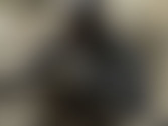 The(G)net Review: SOCOM: U.S. Navy SEALs Confrontation