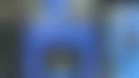 THE NEWZEALAND STORY: Untold Adventure Gameplay, Trailer und Screenshots