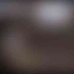 The Elder Scrolls IV: Oblivion Remastered leaked Screenshots und Release-Datum