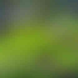 Another Eden Begins Game News, Screenshots, Trailer, Gameplay zum JRPG von Masato Kato