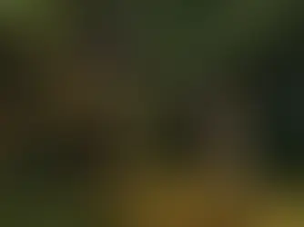 Tomb Raider 1-3 Remastered angekündigt