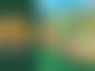 The(G)net Review: Animal Crossing: Let's go to the City