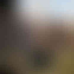 The Legend of Khiimori Gameplay, Trailer, Screenshots und Infos zum Spiel.