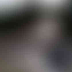 Assetto Corsa Rally angekündigt – Die legendäre Rennserie geht offroad - Trailer, Screenshots und Infos zum Spiel.