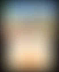 Nintendogs and Cats Test, Review, Testbericht für Nintendo 3DS.