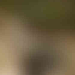 Halo: Campaign Evolved Infos, Screenshots, Trailer, Gameplay und Behind the Scenes. Release Datum bekannt.