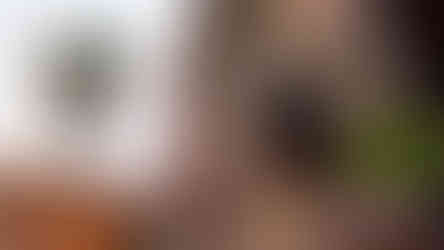 Son of Thanjai - Trailer, Screenshots und Infos zum cineastischen Single Player Action Adventure aus Indien