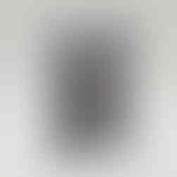 ssassin's Creed Black Flag Resynced: Collector's Edition Inhalt, Preis und Bilder