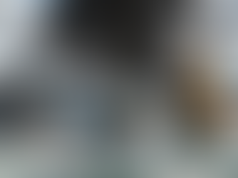 Skull & Bones hat ein Release-Datum - neuer Trailer