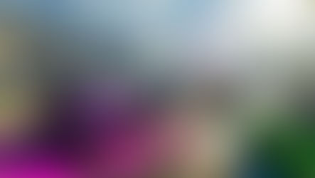 The Crew Motorfest – Year 3 startet am 5. November mit Season 8