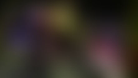 Marathon Game Test, Review, Testbericht. Wertung und Fazit.