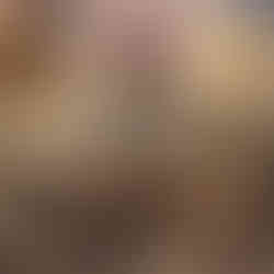 Skull & Bones News Gameplay Trailer Release Date Screnshots PlayStation Xbox