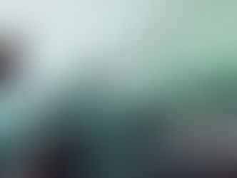 The(G)net Review: The Falconeer