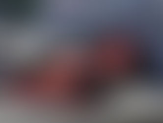 The(G)net Review: F1 2020