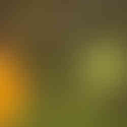 Akimbot Trailer Gameplay News Xbox PlayStation Nintendo Switch