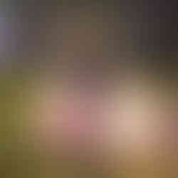 Kaku Ancient Seal Screenshots Trailer Gameplay Xbox Series PlayStation 5