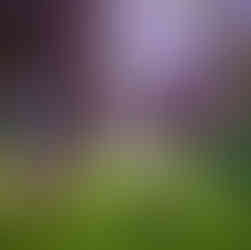 Eternal Strands Game News, Trailer und Screenshots von der gamescom 2024