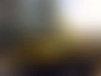 The(G)net Review: Driver San Francisco