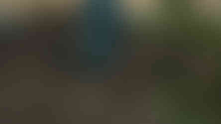 Sacred 2: Fallen Angel Remaster Game News, Trailer und Screenshots